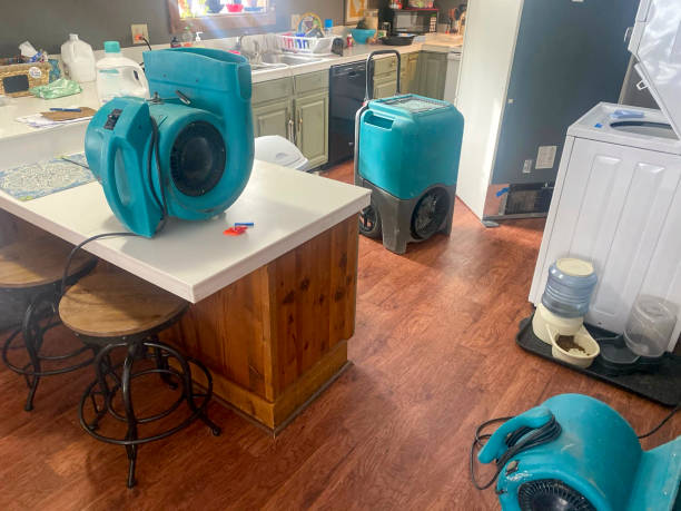 Best Flood damage cleanup  in Beach Haven, NJ