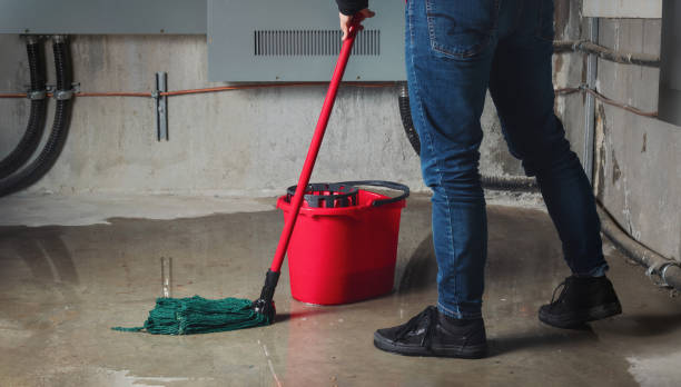 Carpet water damage restoration in Beach Haven, NJ