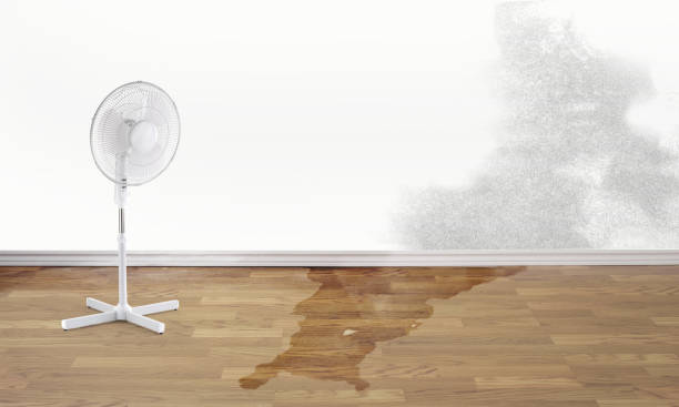 Best Water damage restoration near me  in Beach Haven, NJ