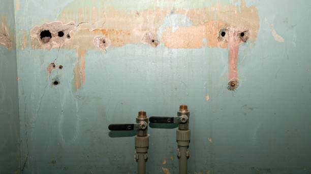 Best Water damage restoration process  in Beach Haven, NJ