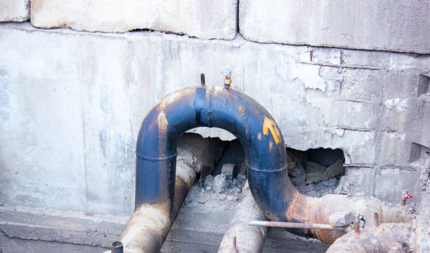 Best Sewage cleanup and water damage restoration  in Beach Haven, NJ