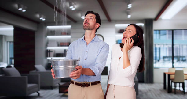 Best Professional water damage repair  in Beach Haven, NJ